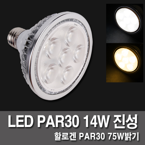 LED램프 / LED PAR30 14W 진성 집중형